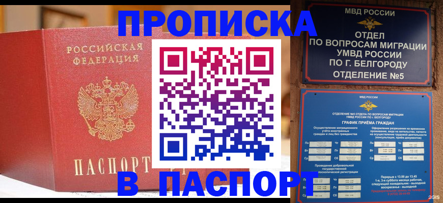 временная регистрация в квартире в Димитровграде